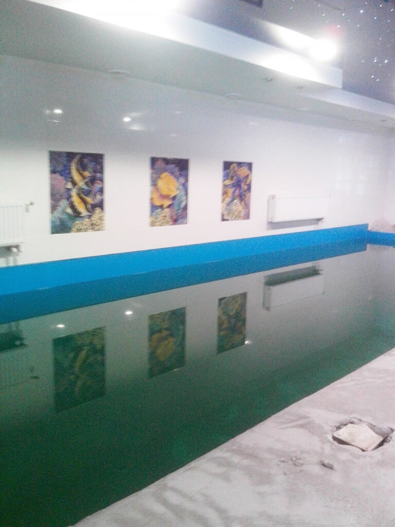 intellservis-bassein-tavatui-4